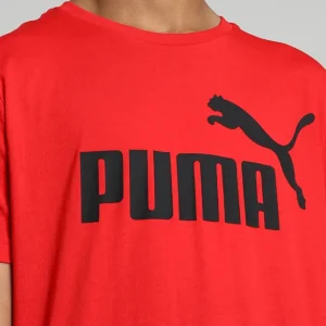 Ess Logo Tee Tshirt Ragazzo 4-16a