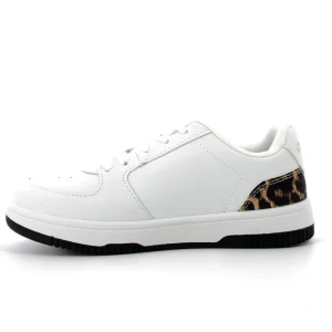 Lorin 30-35