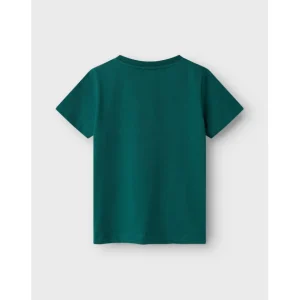 Tshirt Bimbo 2-8a
